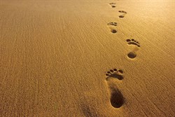 Footsteps